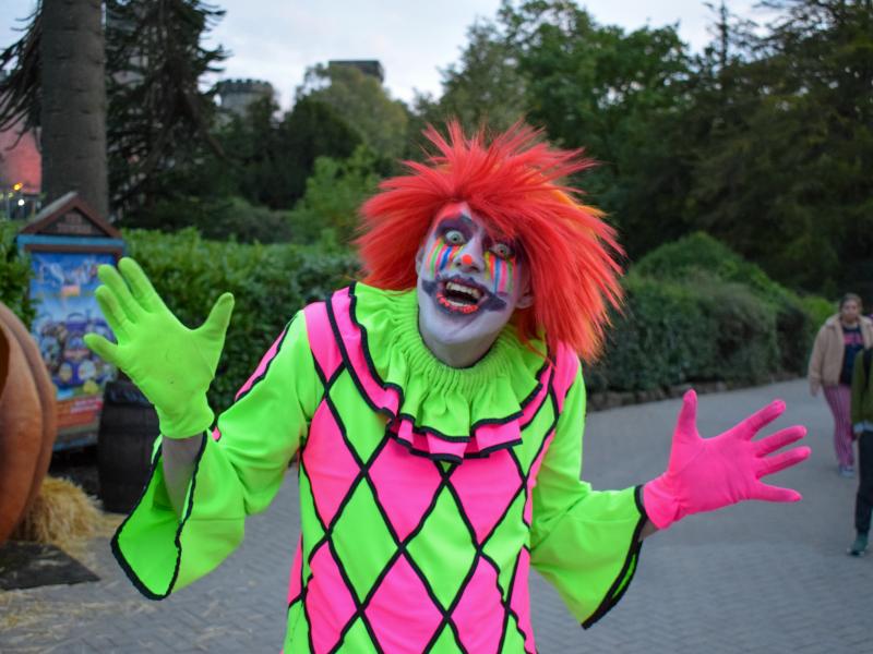 Freak Show Roaming Team