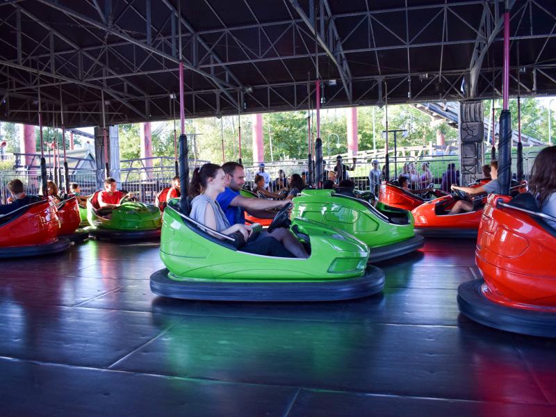 King Pigs Wild Hog Dodgems