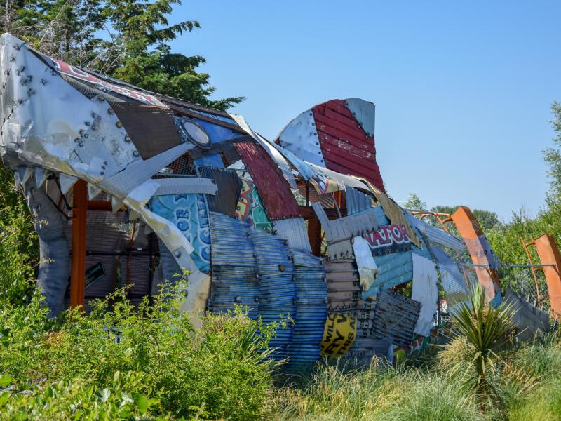 
Thorpe Shark Hotel Theming Element