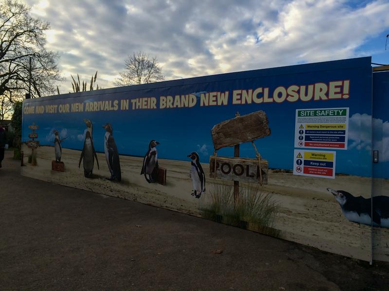 Chessington 2015 Year of the Penguins