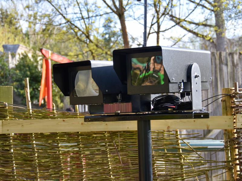 Chessington Adds On Ride Photos To The Rainforest Attractions