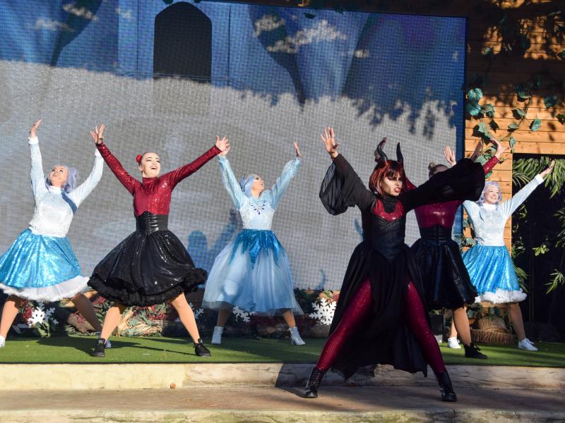 The Wild Christmas Panto 2021