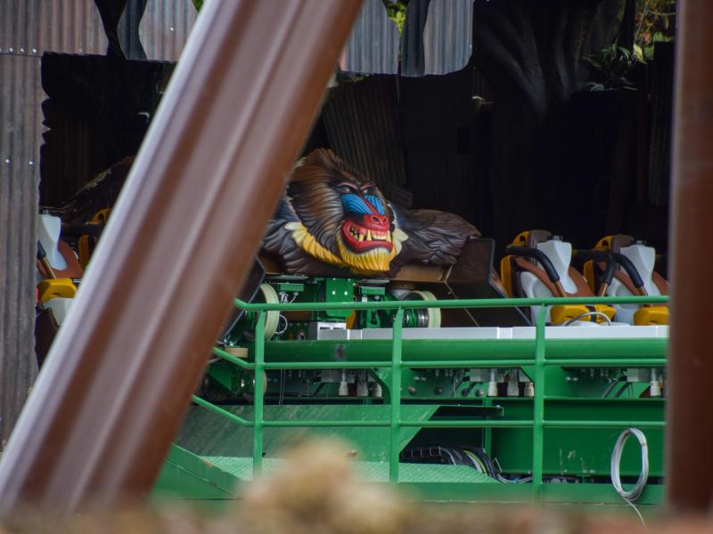Mandrill Mayhem Train Theming Installed And Last Closed Season Insight