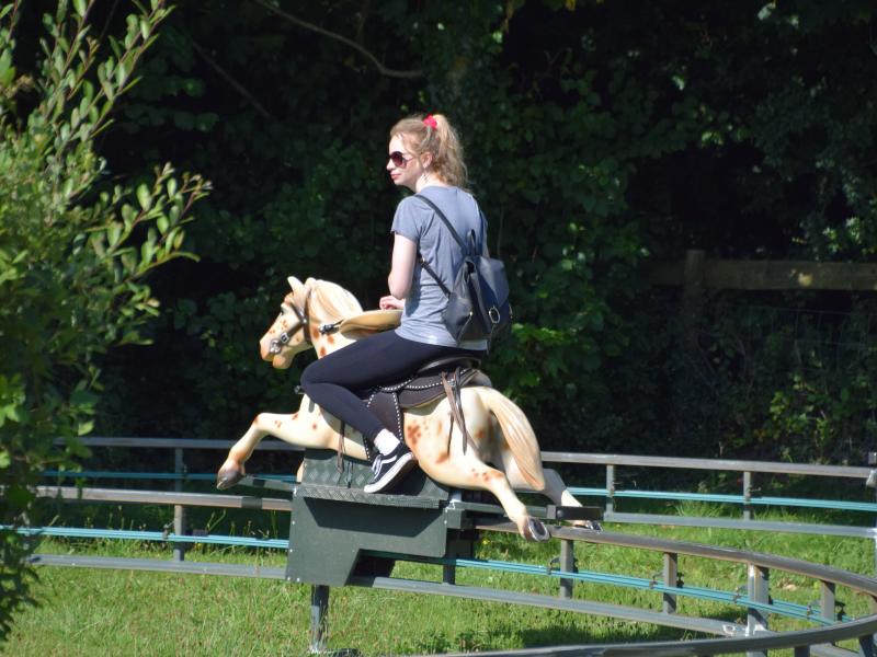 Pony Express