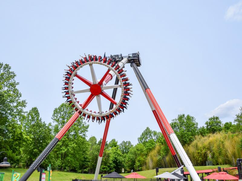 Harley Quinn Spinsanity