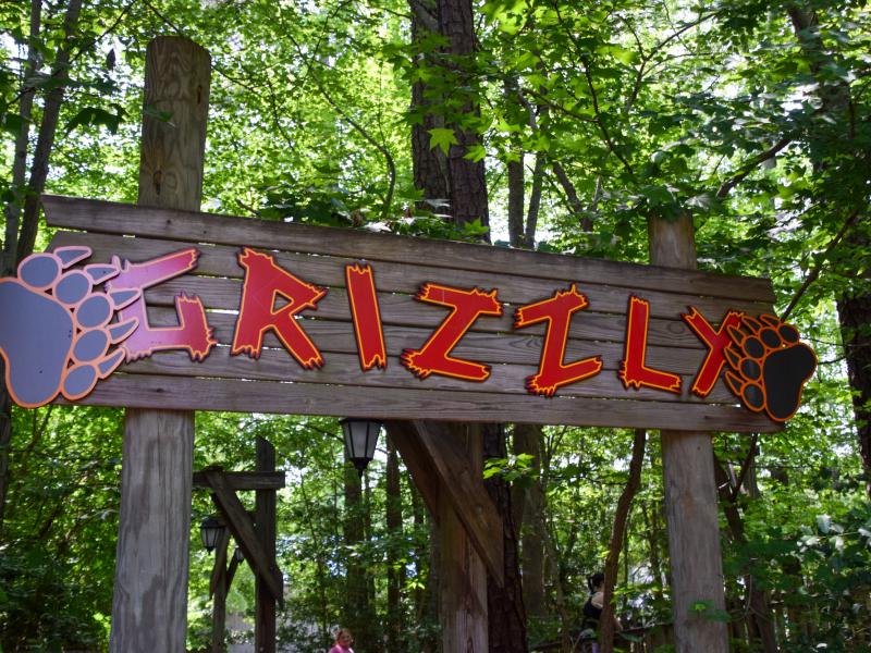Grizzly