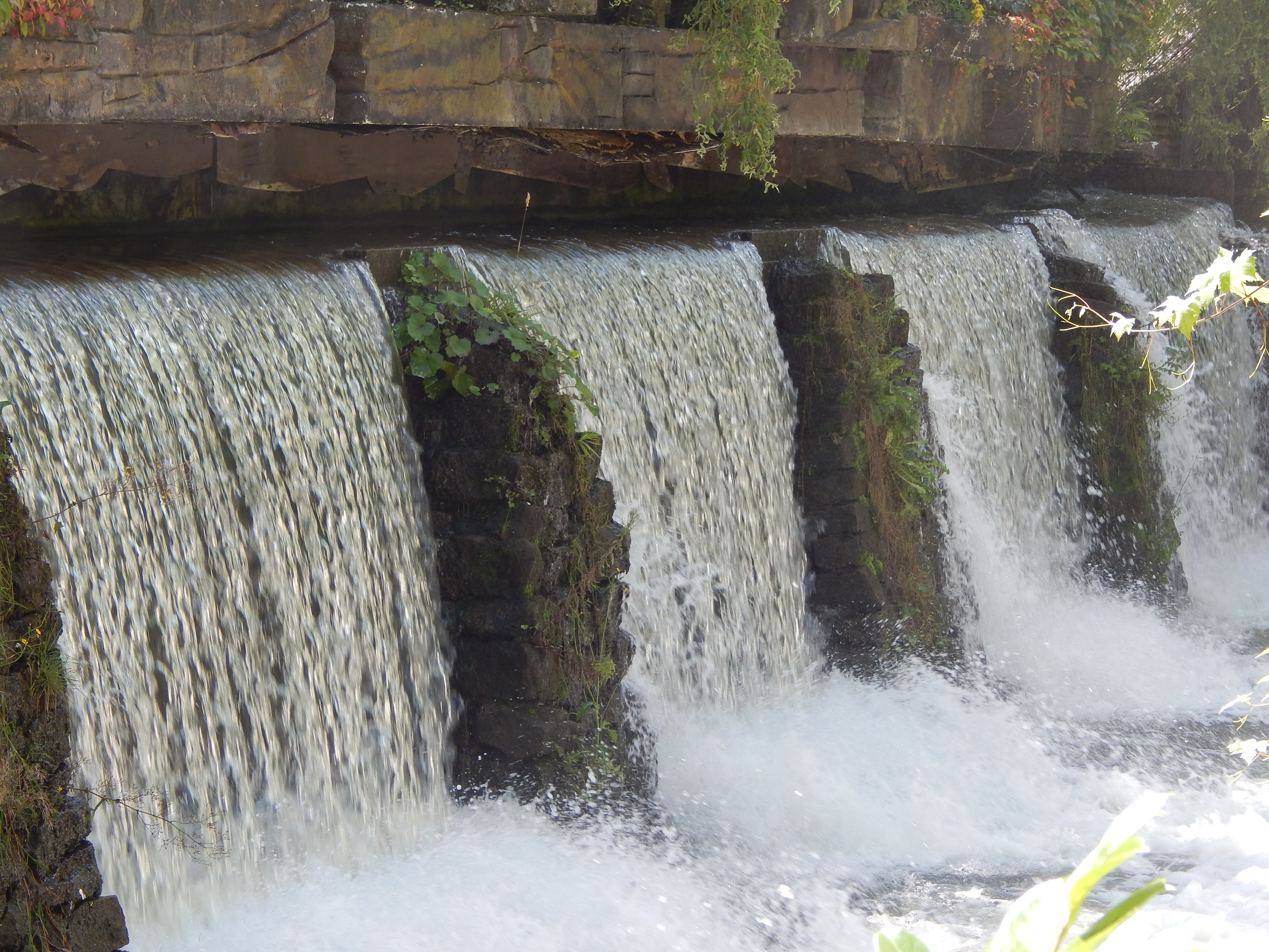 Congo River Rapids Reopens With Changes