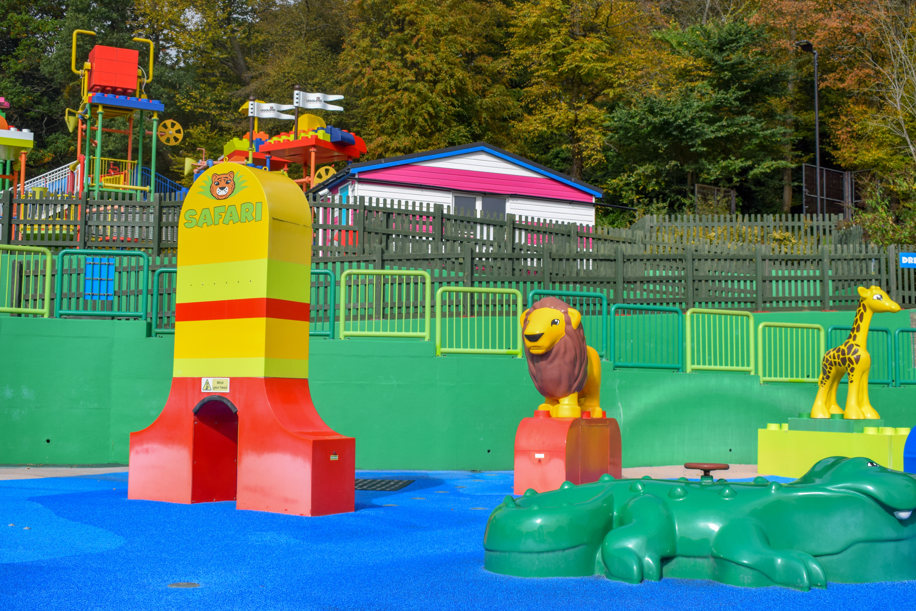 Splash Safari
