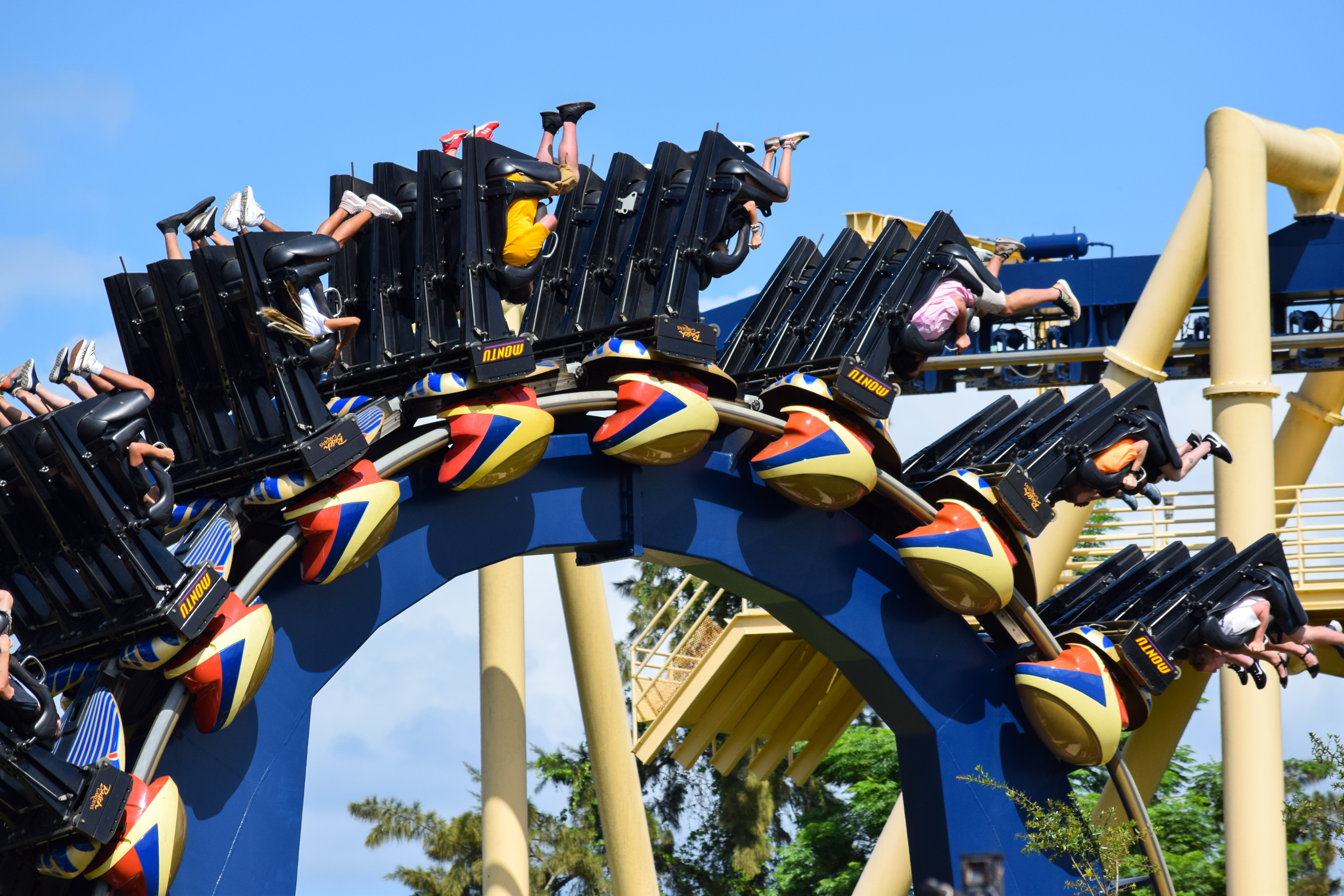 Montu
