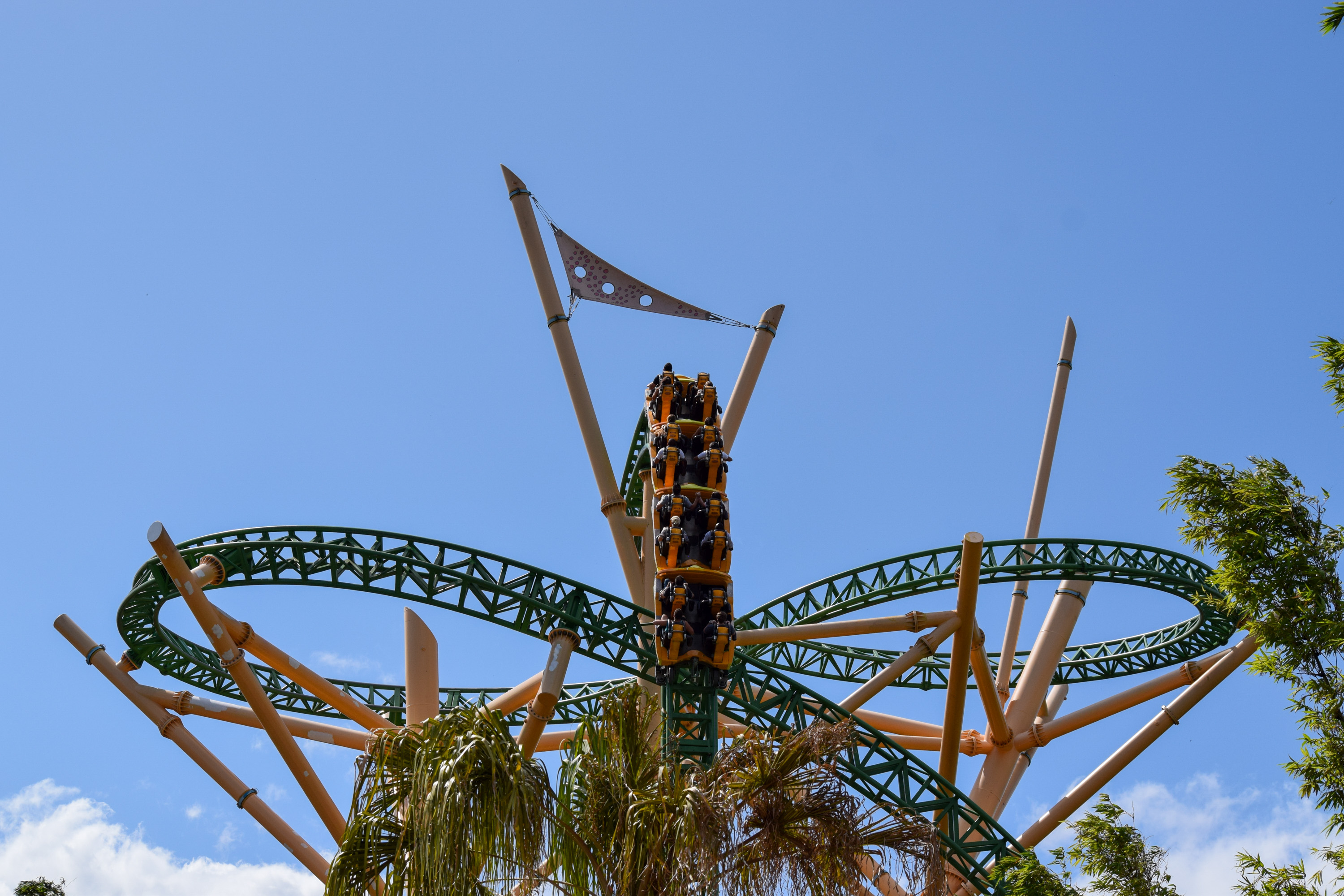 Cheetah Hunt