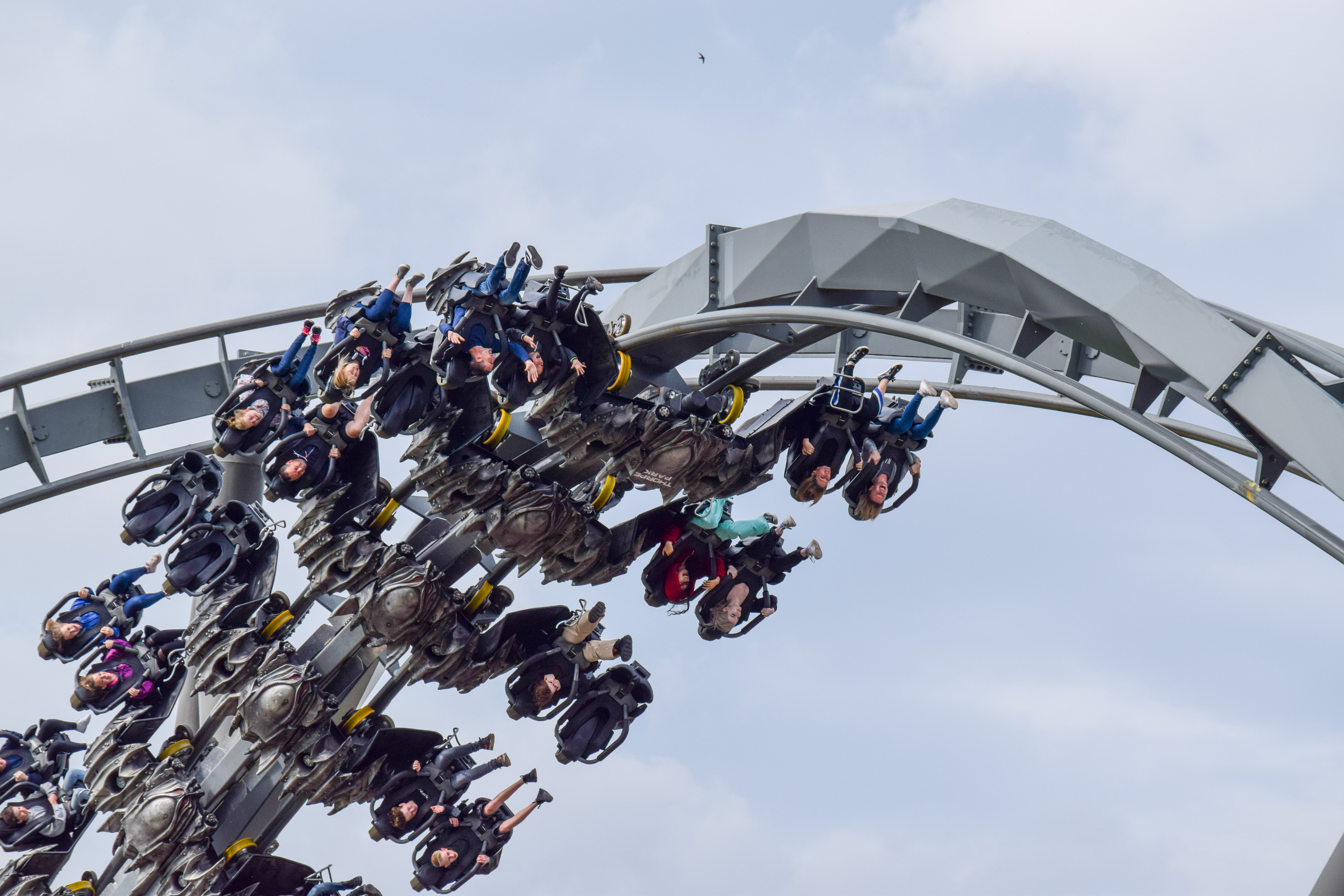 The Swarm