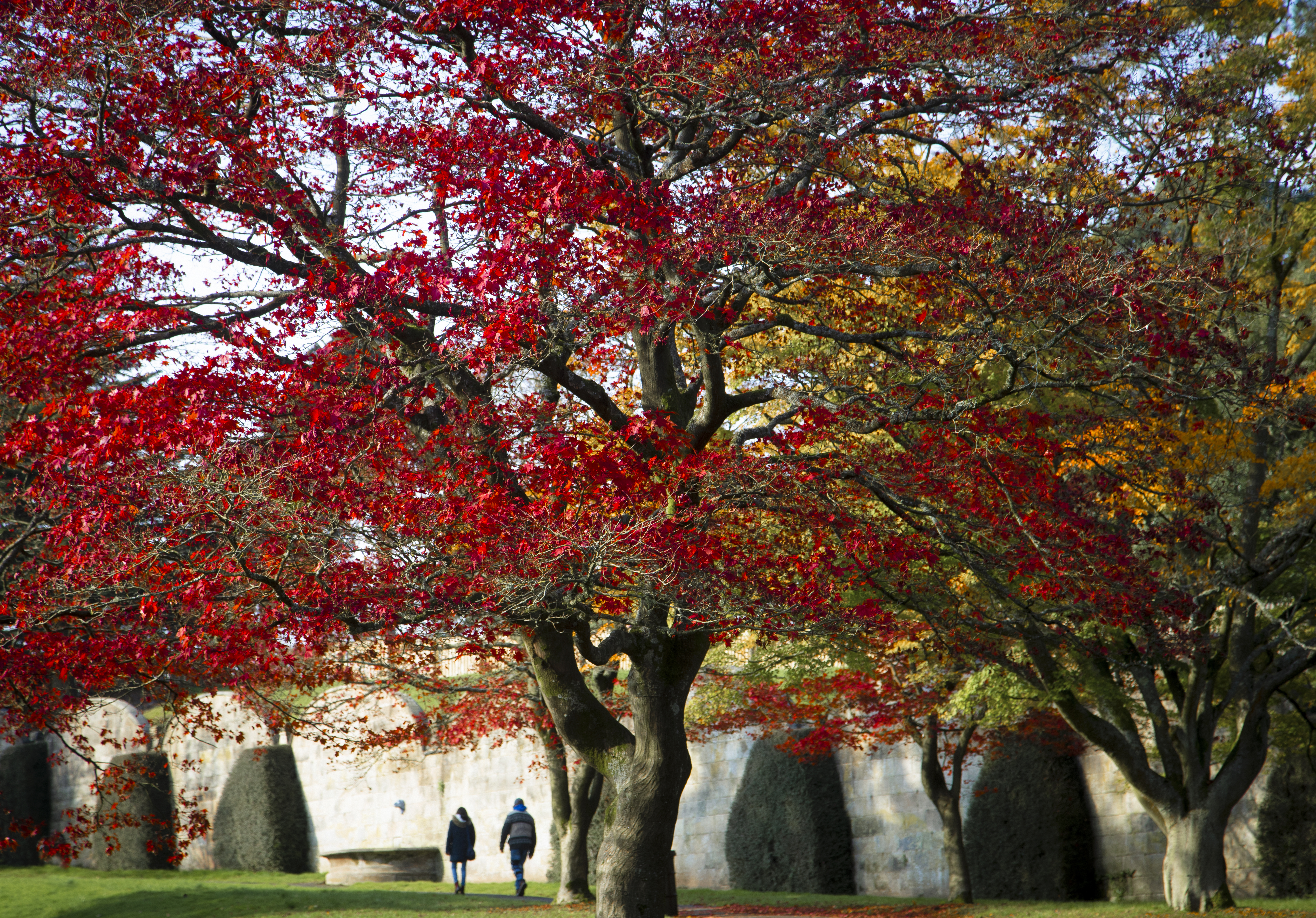 Alton Towers Gardens To Reopen March 29th 2021