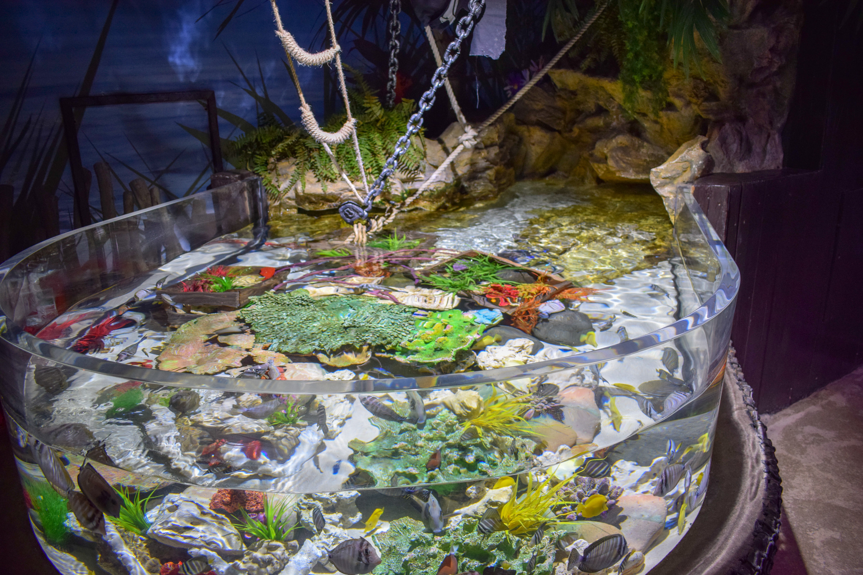 Sharkbait Reef by SEA LIFE
