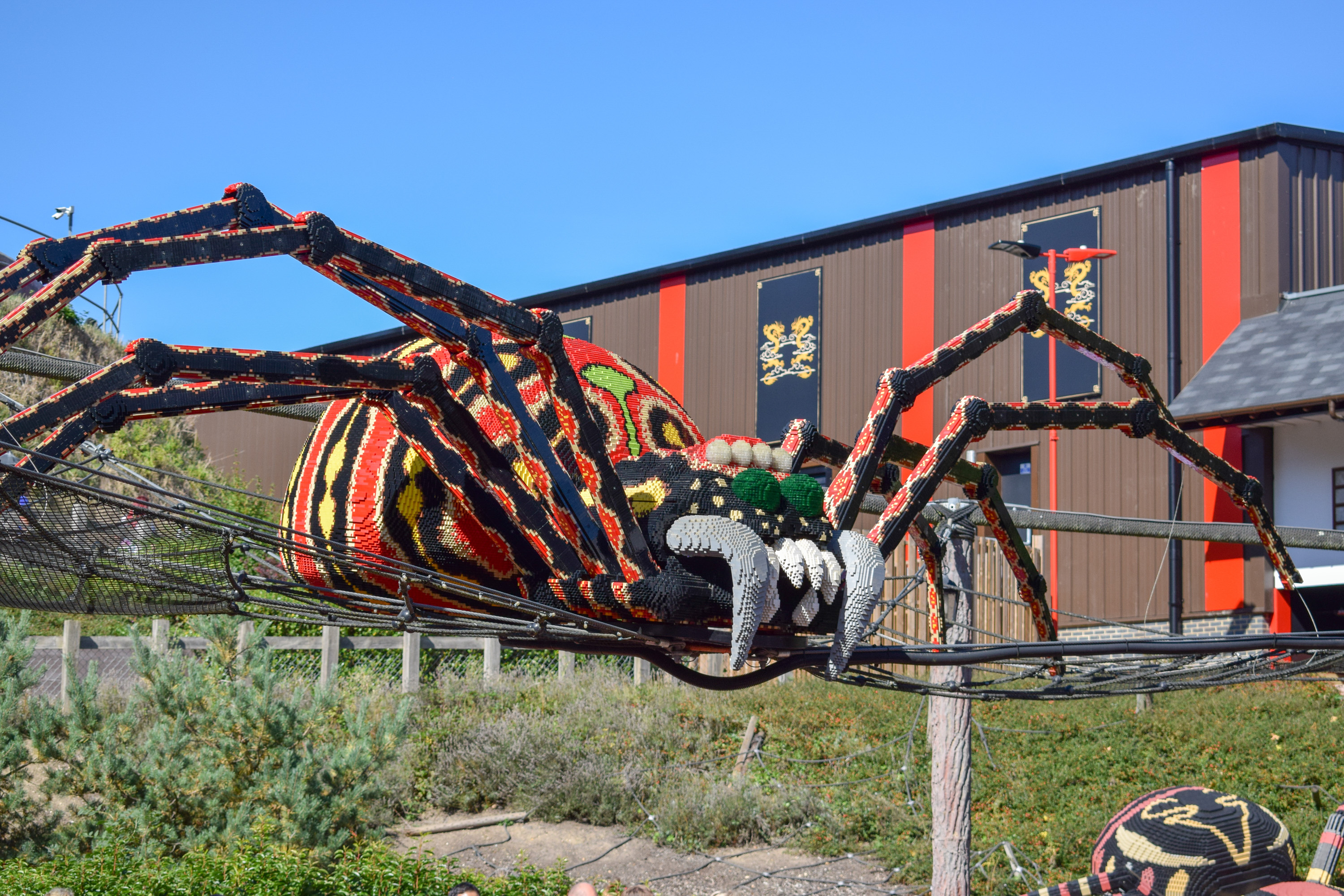 Spinning Spider