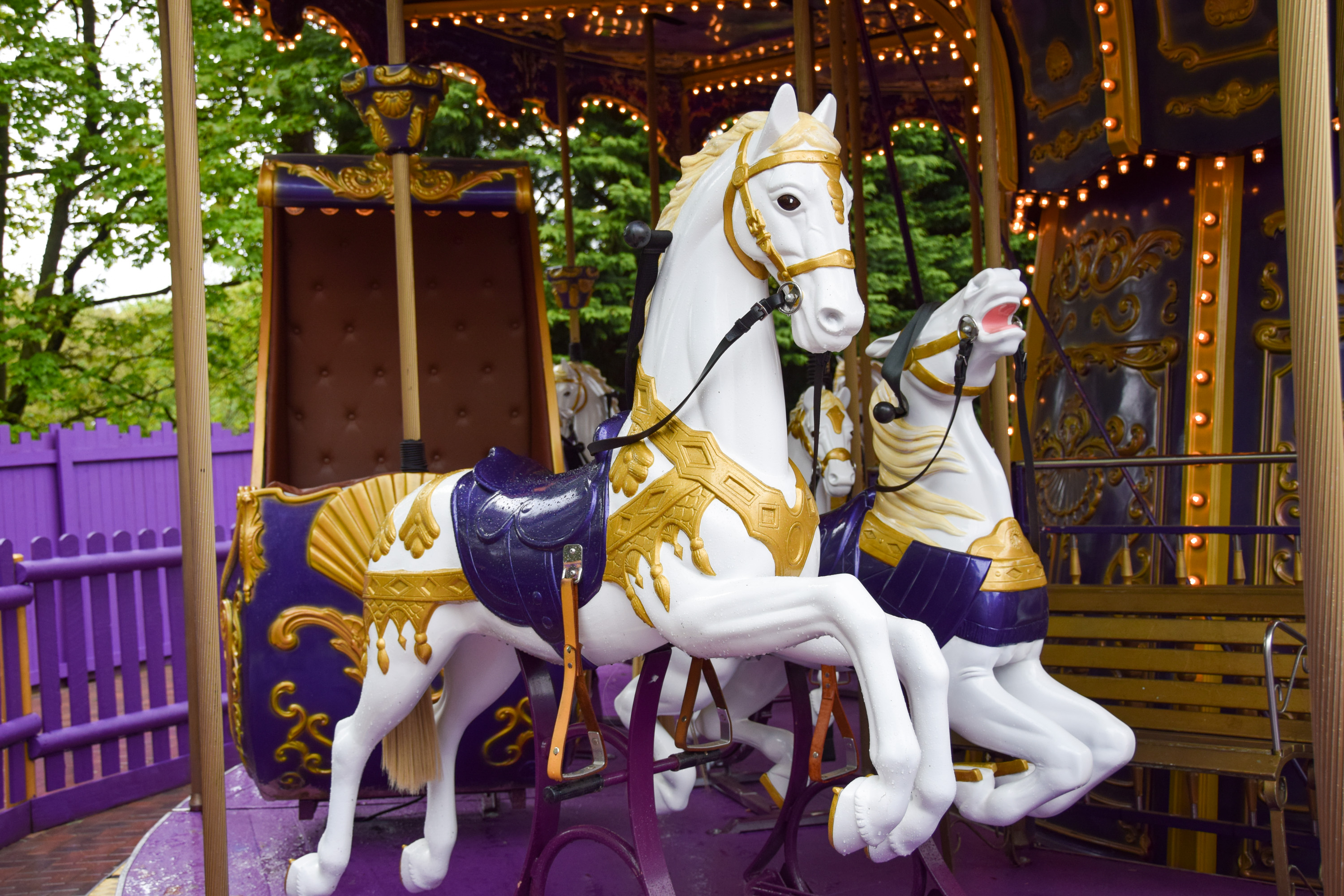 The Royal Carousel