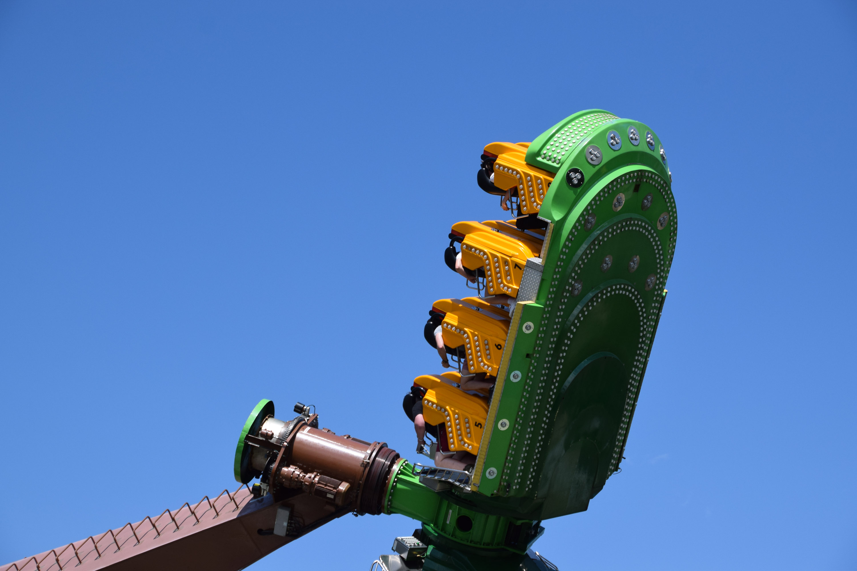 Soaring Timbers