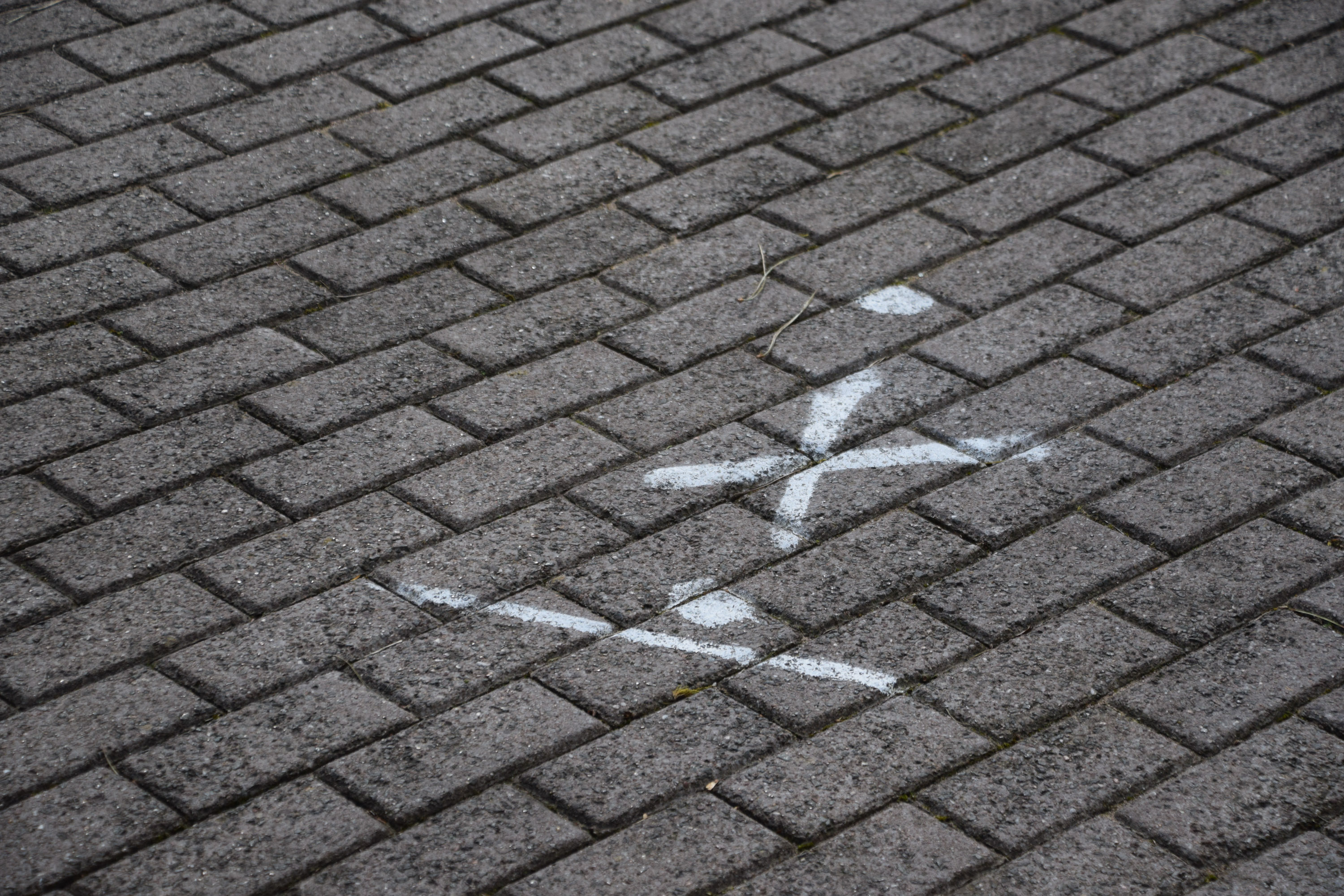 Mysterious Markings and Project Horizon Whats Brewing at The Dungeons