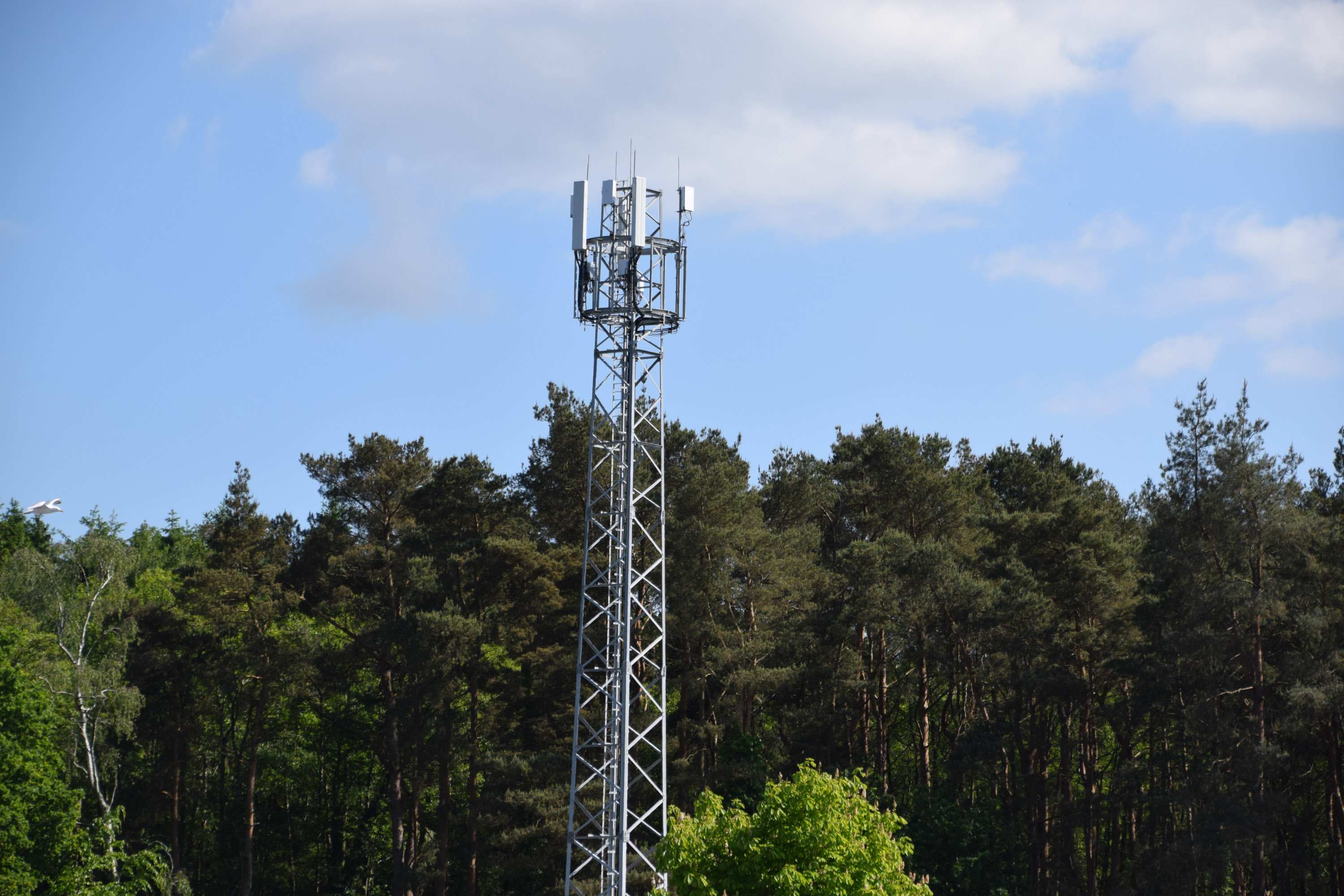 Great News for Mobile Signal at Paultons Park