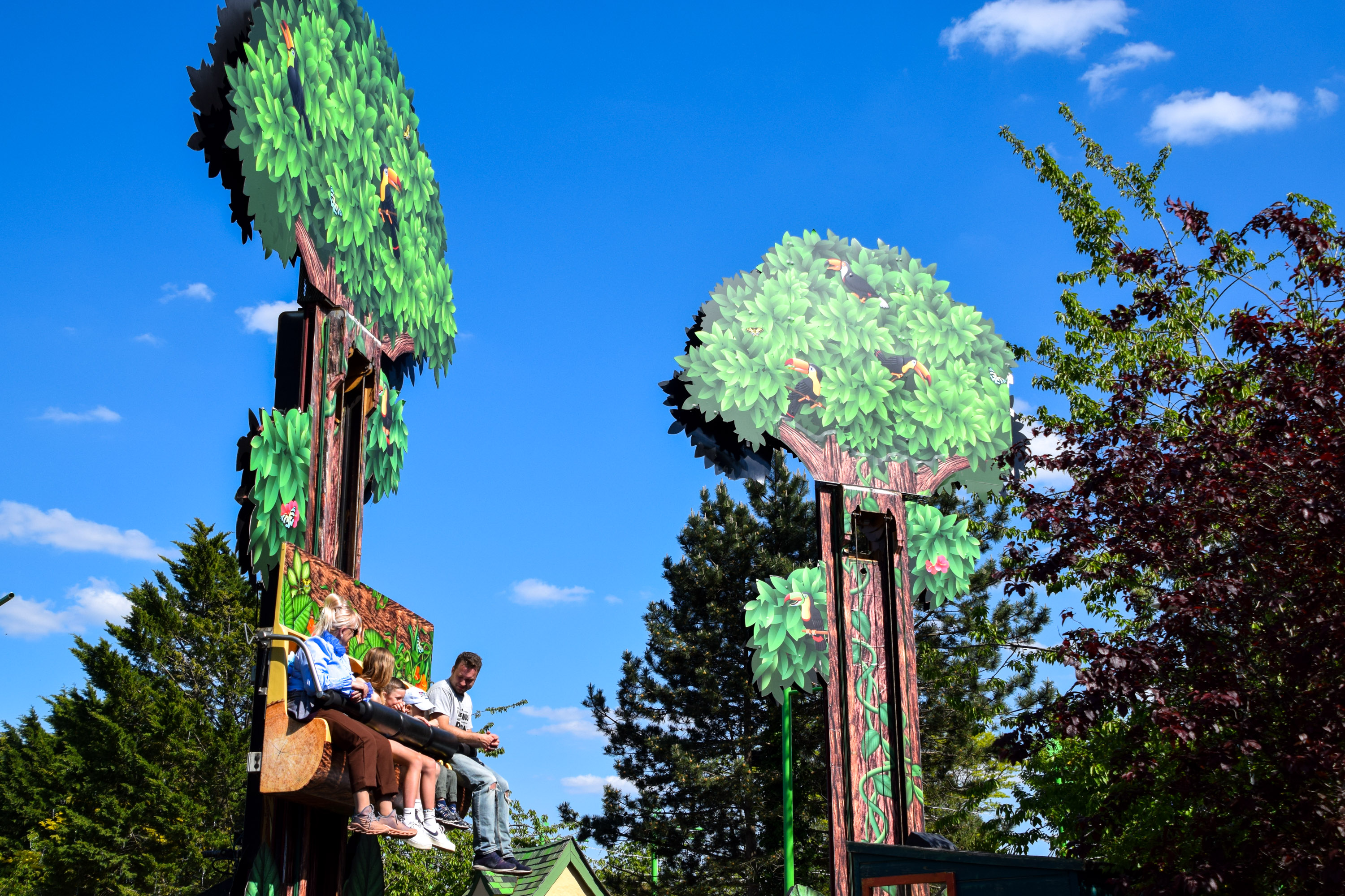 Treetop Hoppers