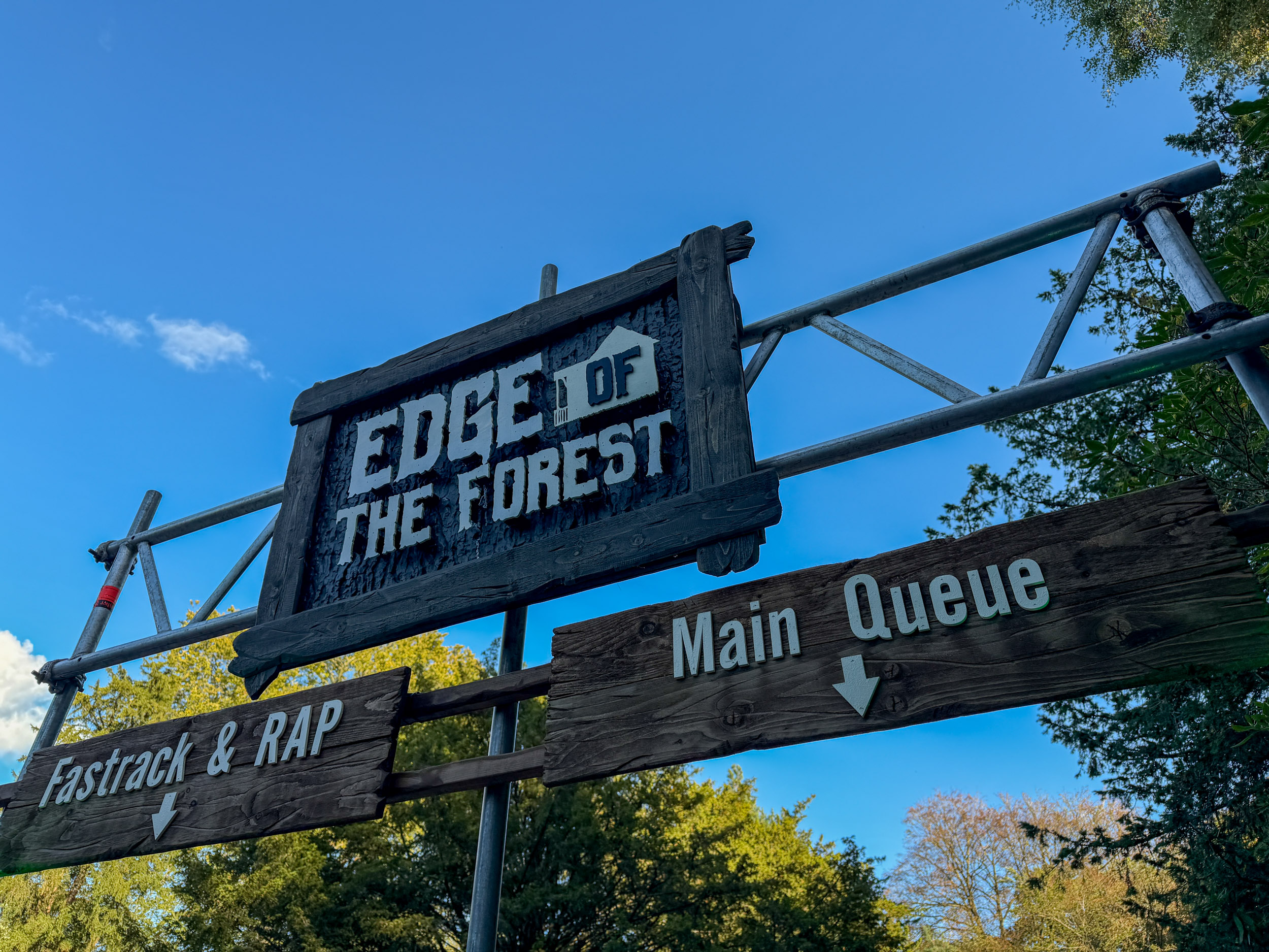 Edge of the Forest