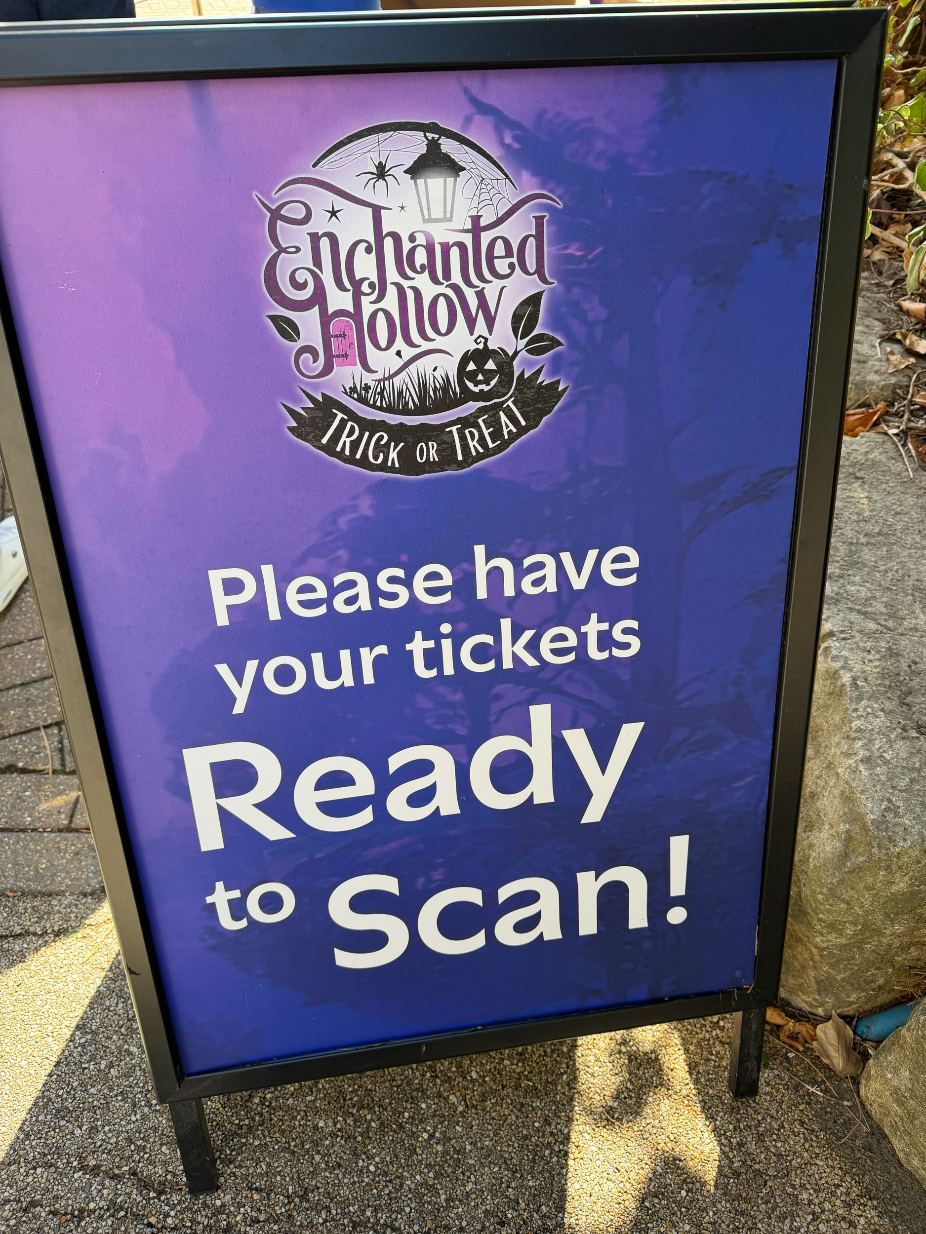 Enchanted Hollow
