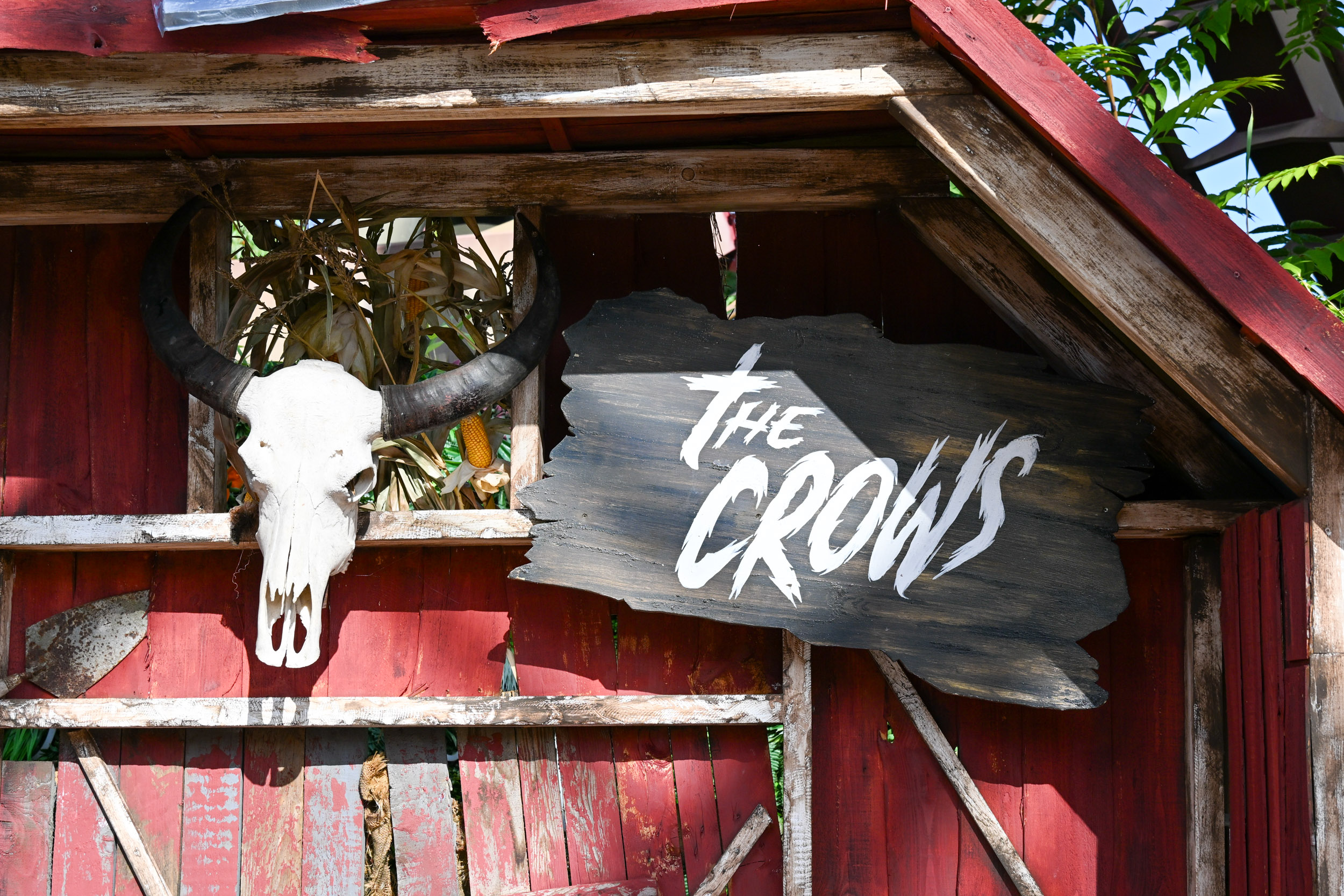 The Crows of Mawkin Meadow