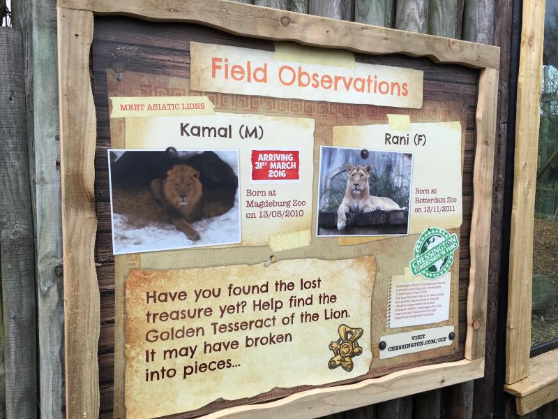 Chessington Kamal The Lion