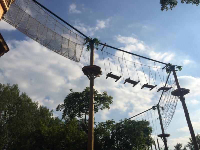 Enchanted Village Tree Top Quest