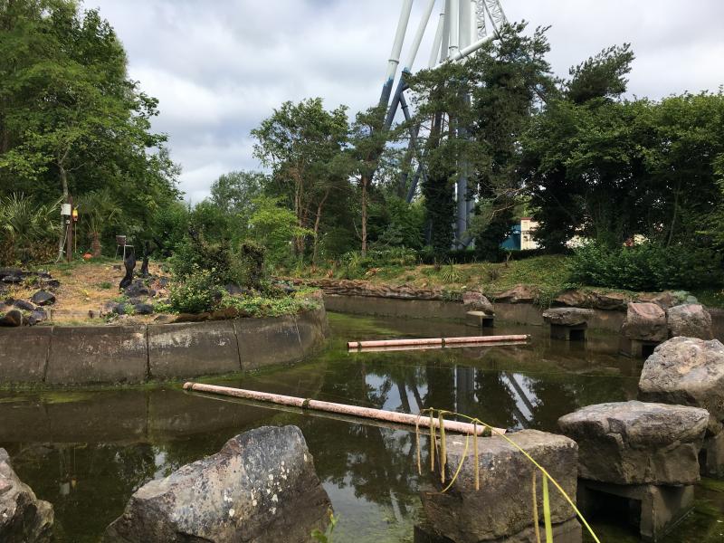 Rumba Rapids Over 18 Rule