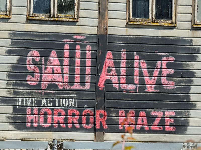 Saw Alive Opens!