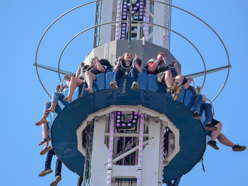 Dreamland Drop