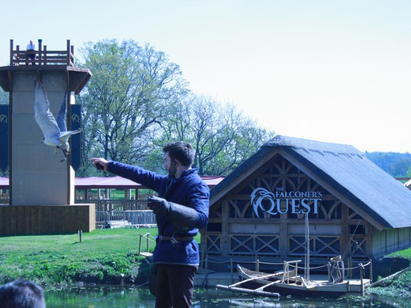 The Falconer's Quest at Warwick Castle