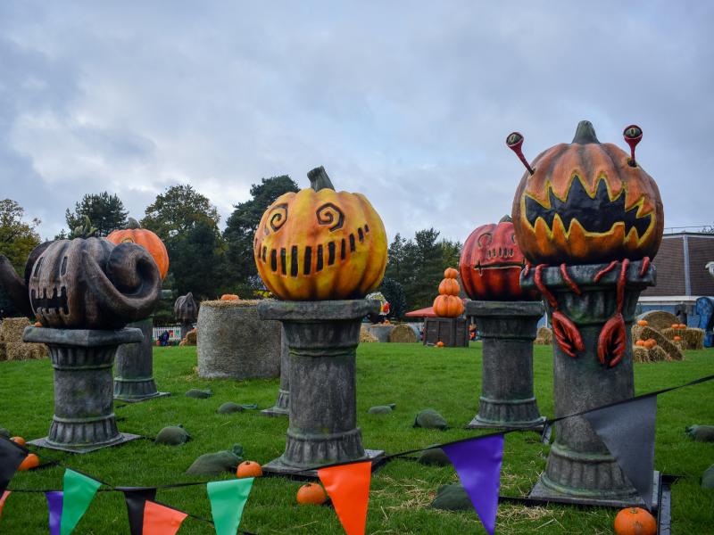Scarefest 2019