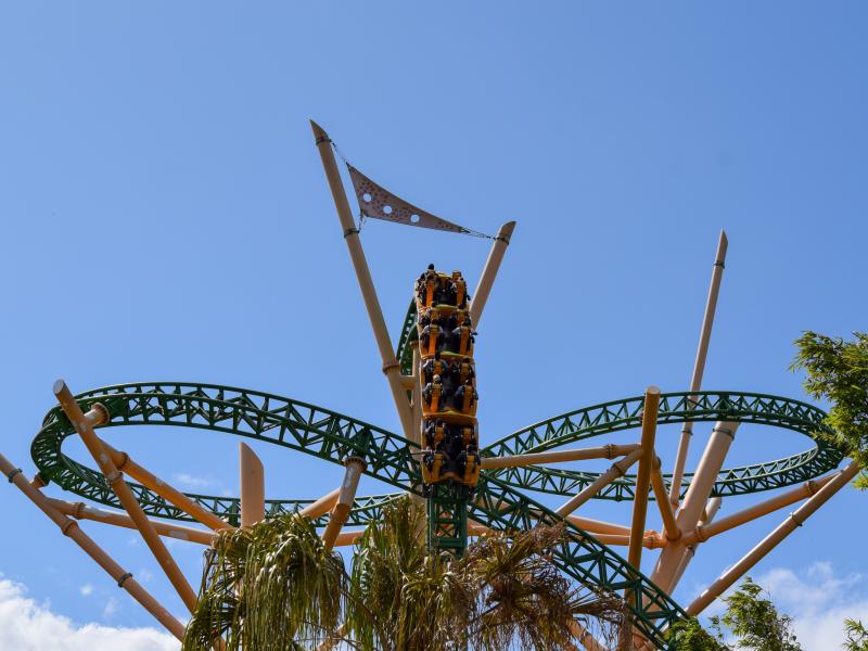 Cheetah Hunt