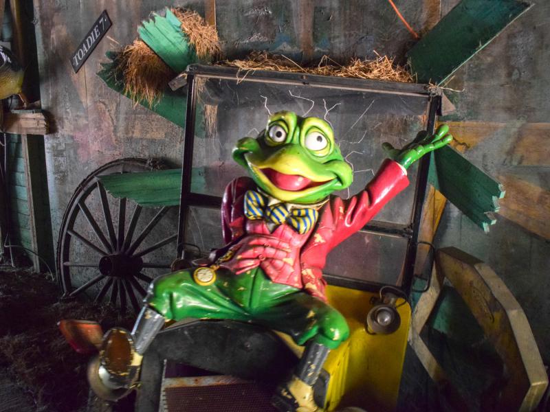 Toadies Crazy Cars
