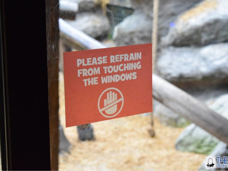 Chessington Zoo Reopens