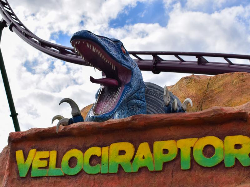 Velociraptor