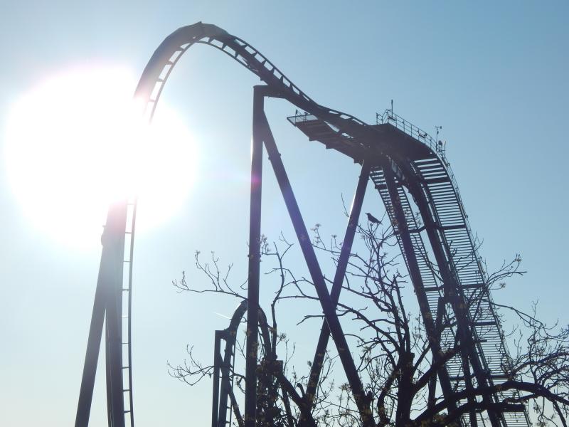 The Swarm premier screaming event