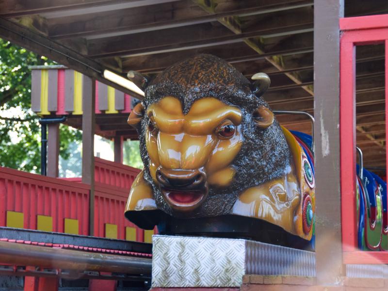 Buffalo Coaster