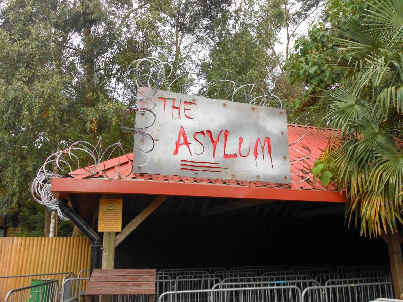 The Asylum