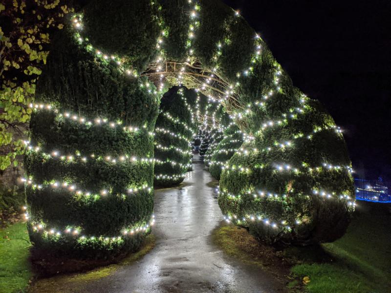 Garden Lights Walk: Whispering Souls