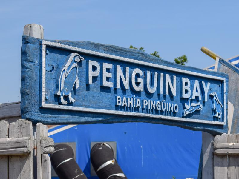 Penguin Bay
