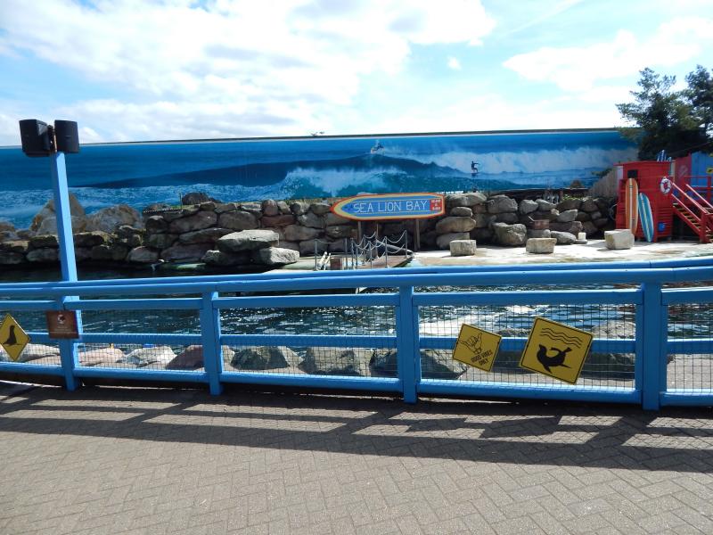Sea Lion Bay