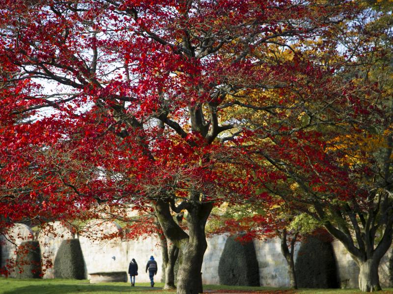 Alton Towers Gardens To Reopen March 29th 2021