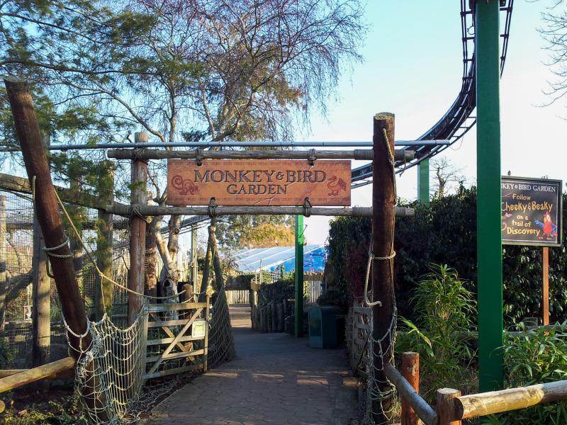 Monkey & Bird Garden