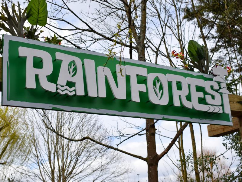 The Rainforest Construction