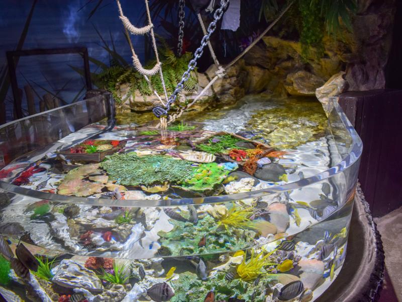Sharkbait Reef by SEA LIFE