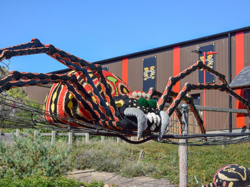 Spinning Spider