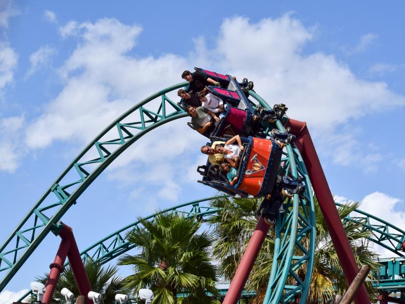 Cobra's Curse