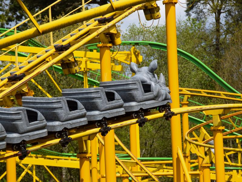 Rhino Rollercoaster